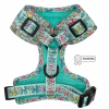 Adjustable Harness