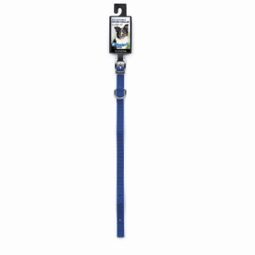 DGR 1/2in Nylon Collar (Color: Blue, size: 12in)