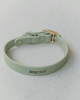 Waterproof Dog Collar