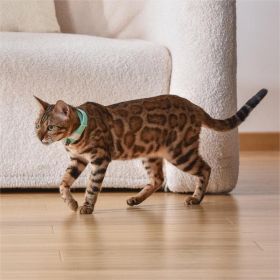 Pet Cat Toy Laser Collar (Color: green)