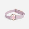 All Eyes On Me Collar